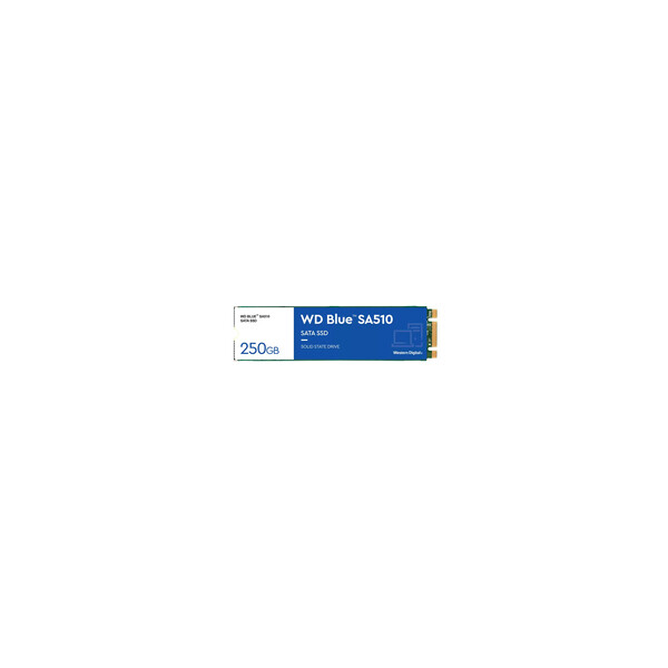 WD Blue Sa510 WDS250G3B0B-00AXS0 - SSD - - intern - M.2 2280 - SATA