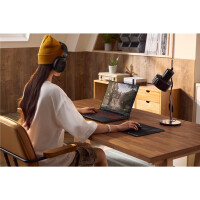 ASUS TUF Gaming A16 FA608WV-RL019W, AMD Ryzen AI 9 HX, 2 GHz, 40,6 cm (16"), 1920 x 1200 Pixel, 16 GB, 1 TB