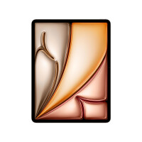 Apple iPad Air, 33 cm (13"), 2732 x 2048 Pixel, 256...