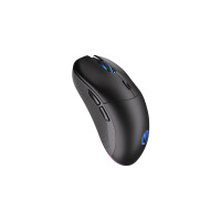 ENDORFY GEM Plus Wireless, Beidhändig, Optisch, RF Wireless + USB Type-C, 26000 DPI, Schwarz