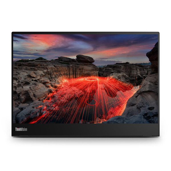 Lenovo ThinkVision M14t, 35,6 cm (14"), 2240 x 1400 Pixel, 2.2K, LED, 8 ms, Schwarz