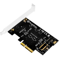 SilverStone ECM20, M.2, PCIe, SATA, Schwarz