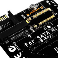 SilverStone ECM20, M.2, PCIe, SATA, Schwarz
