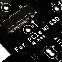 SilverStone ECM20, M.2, PCIe, SATA, Schwarz
