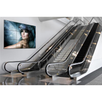 Peerless DS-VW765-LQR, 56,8 kg, 116,8 cm (46 Zoll), 165,1 cm (65 Zoll), 200 x 200 mm, 600 x 400 mm