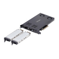 StarTech.com Dual-Bay M.2 NVMe Wechselrahmen, M.2 SSD zu...