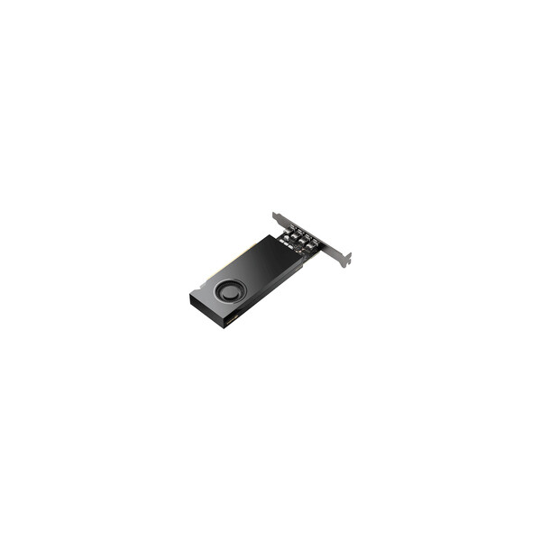PNY NVIDIA RTX 2000E Ada Generation - Grafikkarten - Grafikkarte - PCI