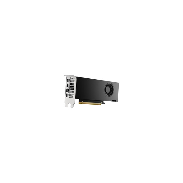 PNY NVIDIA RTX 2000 Ada Generation - Grafikkarten - Grafikkarte - PCI