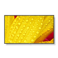 NEC Display M501-2 50IN UHD 500CD/QM