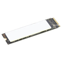 Lenovo 4XB1M86955, 1 TB, M.2