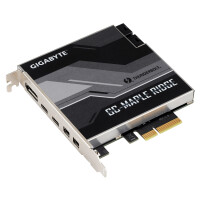 Gigabyte GC-MAPLE RIDGE, PCIe, DisplayPort, Mini...