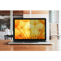 3M BP141W1B, 35,8 cm (14.1"), 16:10, Laptop,...