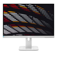 AOC P1 X24P1/GR, 61 cm (24"), 1920 x 1200 Pixel,...