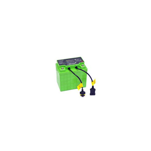 Ergotron SV LiFe, Einwegbatterie, 12V, Lithium, 12 V, 1 Stück(e), 40000 mAh