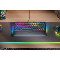 Razer BlackWidow V4, Kabelgebunden, USB, Mechanischer...