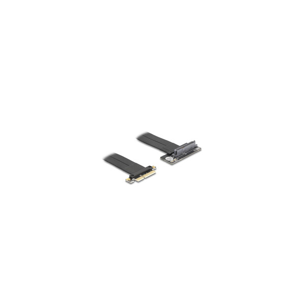 Delock Riser Card