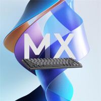 Logitech MX Mini Mechanical, Kabellos, RF Wireless + Bluetooth, Mechanischer Switch, QWERTY, LED, Graphit, Grau