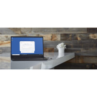 Kingston IronKey 256GB Locker Plus 50 AES Encryption, 256...