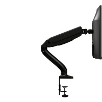 AOC AS110D0, Klemme /Bolzen, 9 kg, 33 cm (13"), 81,3 cm (32"), 100 x 100 mm, Schwarz
