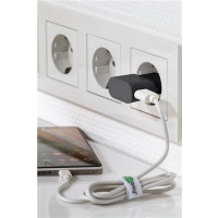 Wentronic Goobay 44947, Indoor, AC, Schwarz