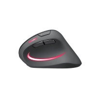 SPEEDLINK SL-630026-BK, rechts, Vertikale Ausführung, Optisch, RF Wireless, 3200 DPI, Schwarz