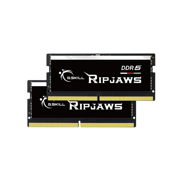 G.Skill Ripjaws F5-4800S3838A32GX2-RS, 64 GB, 2 x 32 GB, DDR5, 4800 MHz, 262-pin SO-DIMM