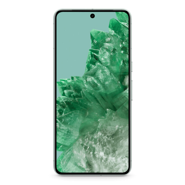 Google Pixel 8 Pro , 17 cm (6.7"), 1344 x 2992 Pixel, 12 GB, 128 GB, 50 MP, Mintfarbe