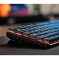 Trust GXT 866 Torix, Kabelgebunden, USB, Mechanischer...