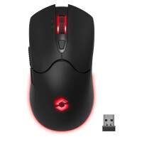 SPEEDLINK SL-680102-BK, USB Typ-A, 4800 DPI, Schwarz