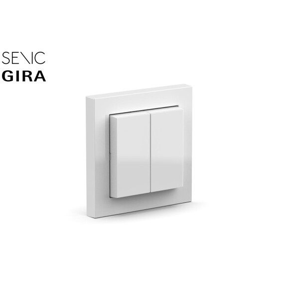 Senic Friends of Hue Switch, Tasten, Gemischte Farben, Schwarz, Grau, Weiß, Polycarbonat (PC), 2-Wege, ZigBee, 2400 MHz