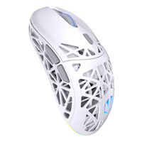 ENDORFY LIV Plus Wireless OWH