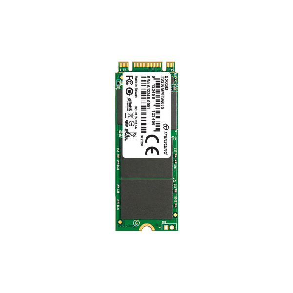 Transcend M.2 SSD 600S, 256 GB, M.2, 530 MB/s, 6 Gbit/s