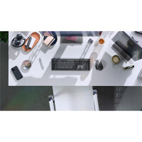 Logitech 920-010759, Volle Größe (100%), Kabellos, RF Wireless + Bluetooth, Mechanischer Switch, QWERTY
