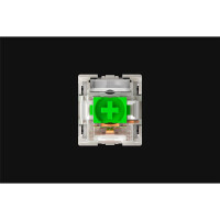 Razer RC21-02040200-R3M1, Grün, Transparent, 36...