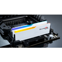 G.Skill Ripjaws M5 RGB F5-6000J3636F32GX2-RM5NRW, 64 GB, 2 x 32 GB, DDR5