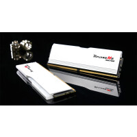 G.Skill Ripjaws M5 RGB F5-6000J3636F32GX2-RM5NRW, 64 GB, 2 x 32 GB, DDR5