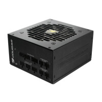 Compucase COUGAR Gaming GEX850, 850 W, 100 - 240 V, 50 -...