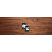 Kingston SDXC Canvas Go Plus Gen4/s C10 UHS-I U - Extended Capacity SD (SDXC)