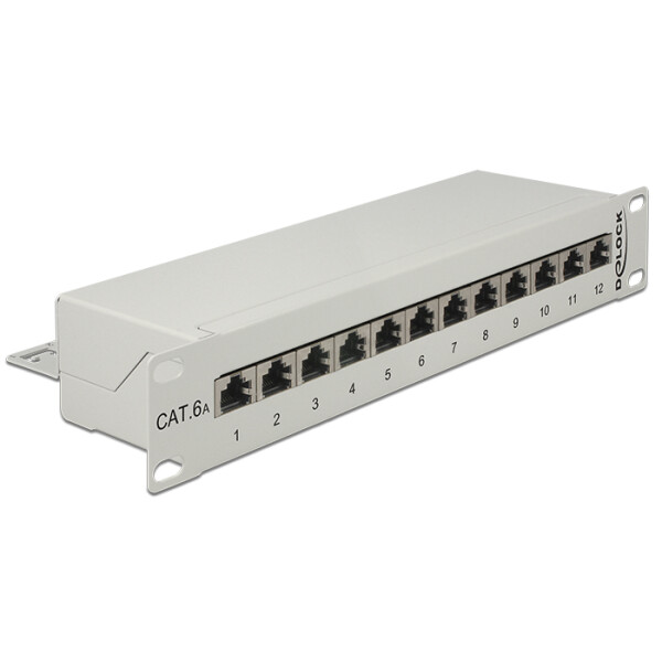 Delock 43308, RJ-45, Cat6a, Grau, Metall, Rackeinbau, 1U