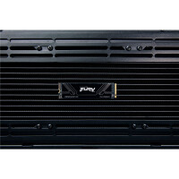 Kingston 2T FURY RENEGADE G5 M.2 2280 NVMe SSD, 2,05 TB, M.2, 14700 MB/s