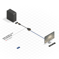 Lindy 41004, 0,15 m, DisplayPort, DVI-D, Männlich, Weiblich, Gold