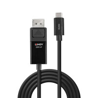 Lindy 43341, 1 m, USB Typ-C, DisplayPort, Männlich, Männlich, Gerade