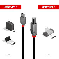 Lindy 36942, 2 m, USB C, USB B, USB 2.0, 0,48 Gbit/s, Schwarz