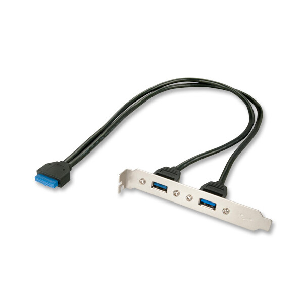 Lindy 33096, 0,4 m, 3.2 Gen 1 (3.1 Gen 1), DIP (20 pin), 2x USB Type A, Weiblich, Weiblich