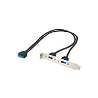 Lindy 33096, 0,4 m, 3.2 Gen 1 (3.1 Gen 1), DIP (20 pin), 2x USB Type A, Weiblich, Weiblich