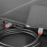 Lindy 36892, 2 m, USB C, Micro-USB B, USB 2.0, 0,48 Gbit/s, Schwarz, Grau