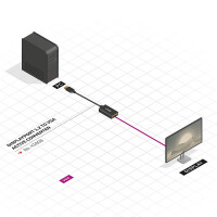 Lindy 41006, 0,15 m, VGA (D-Sub), DisplayPort, Männlich, Weiblich, Gerade