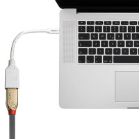 Lindy 41021, 0,15 m, Mini DisplayPort, DisplayPort, Männlich, Weiblich, Weiß