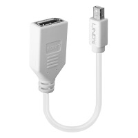 Lindy 41021, 0,15 m, Mini DisplayPort, DisplayPort,...