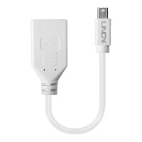 Lindy 41021, 0,15 m, Mini DisplayPort, DisplayPort,...